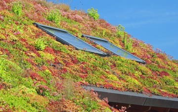 Sherborne St John living roof systems